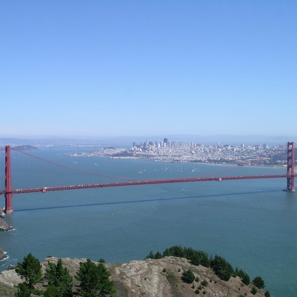 Meet your Posher, Monique - Picture 3 of 8